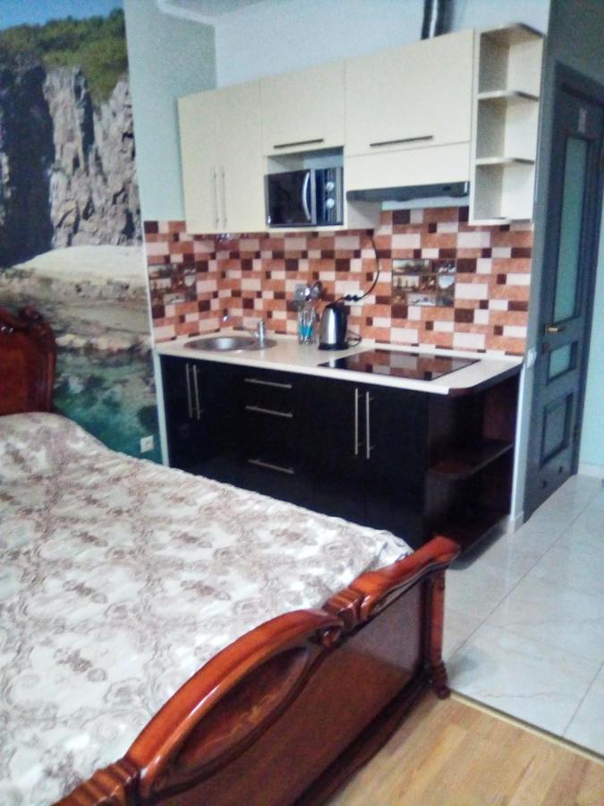 1-комнатная квартира-студия люкс элитный дом-2016 центр Apartment